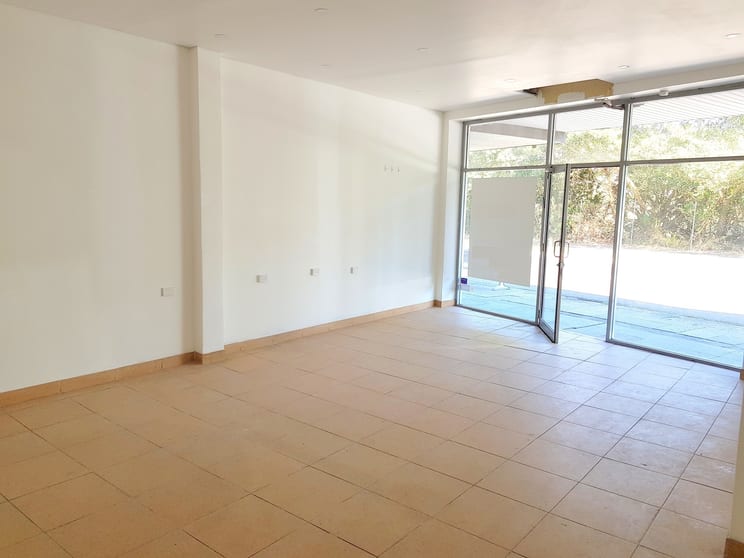 Click to view all images Ground Floor/379 Old South Head Rd North Bondi NSW 2026 - Image 3