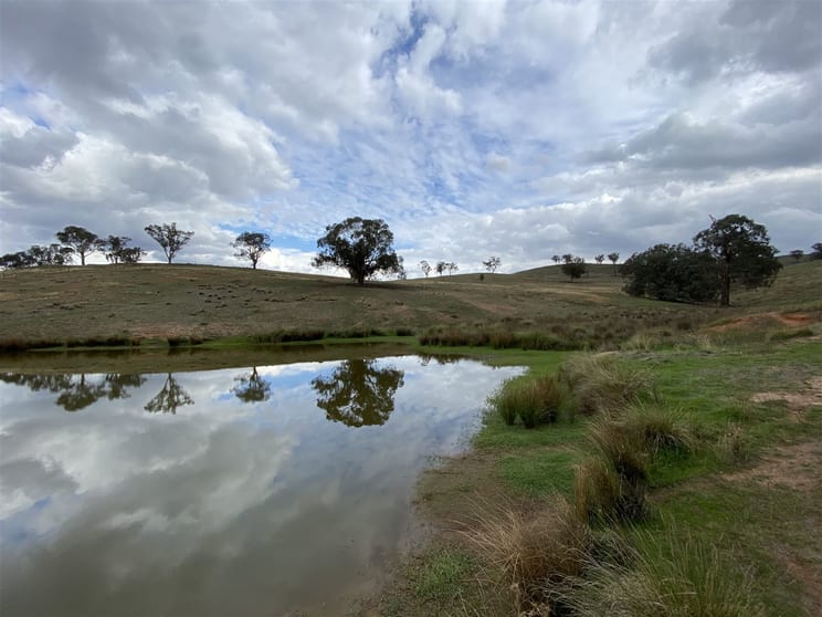 Click to view all images Wanganui Borambola Wagga Wagga NSW 2650 - Image 1