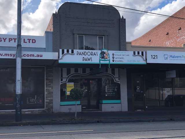 119 Waverley Road Malvern East VIC 3145 - Image 1
