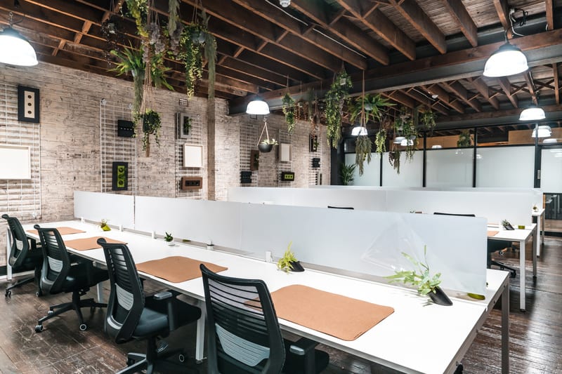 Click to view all images 137-141 Bridge Road Glebe NSW 2037 - Image 3