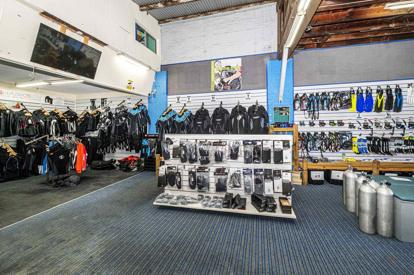 Click to view all images 27 Alfreda Street Coogee NSW 2034 - Image 3