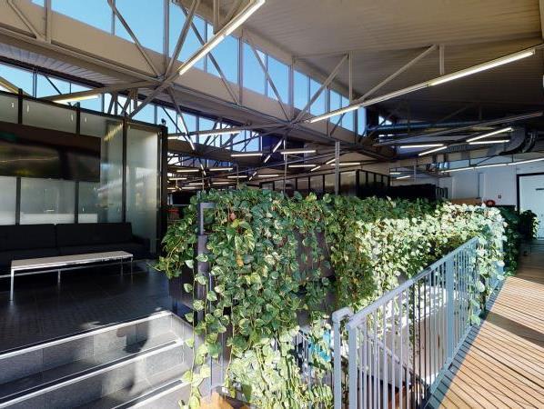 111A Union Street/111A Union Street Mcmahons Point NSW 2060 - Image 1