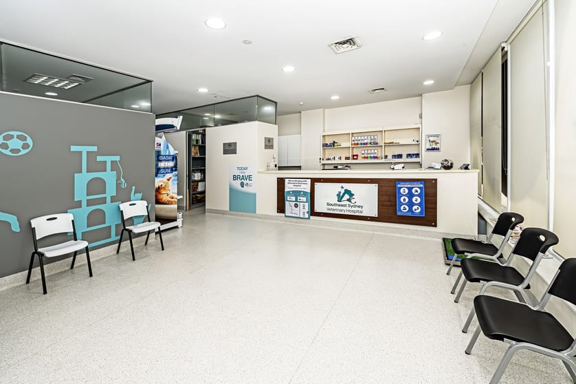 Click to view all images Ground Floor/225 Maroubra Road Maroubra NSW 2035 - Image 2