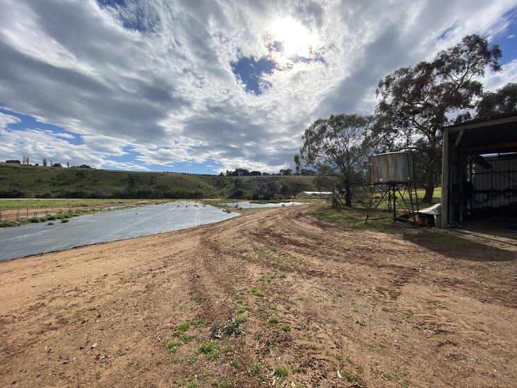 Click to view all images 10 Mcnabs Road Keilor VIC 3036 - Image 1