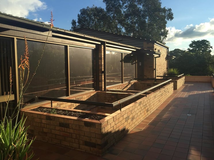 8/1 Ashley St Hornsby NSW 2077 - Image 2