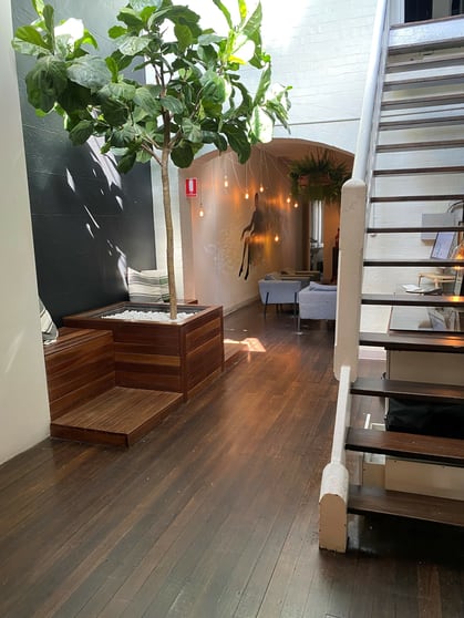 1st + 2nd Floor/155 Oxford Street Darlinghurst NSW 2010 - Image 1