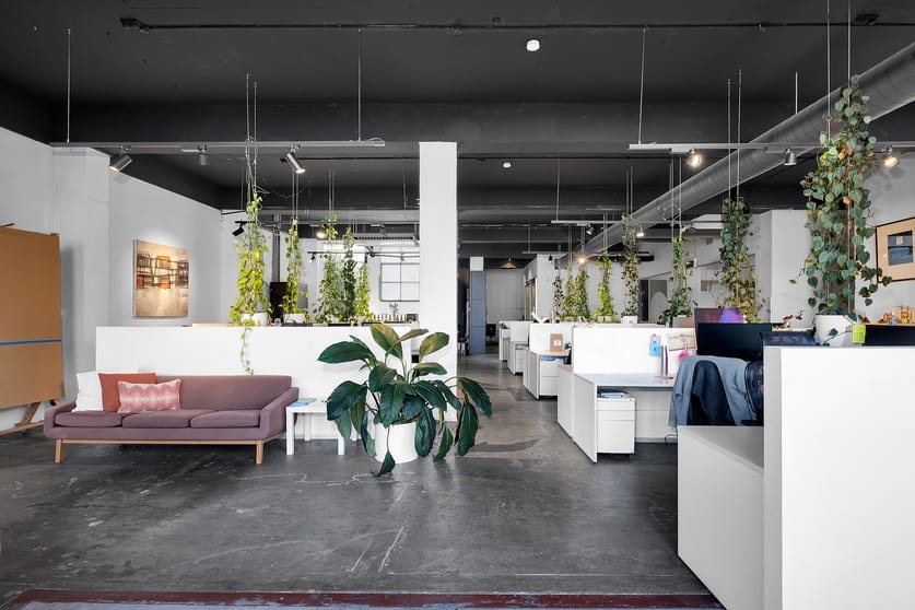 Click to view all images 113 Reservoir Street Surry Hills NSW 2010 - Image 1