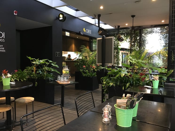 Click to view all images Part Ground/527 Elizabeth Street Surry Hills NSW 2010 - Image 3