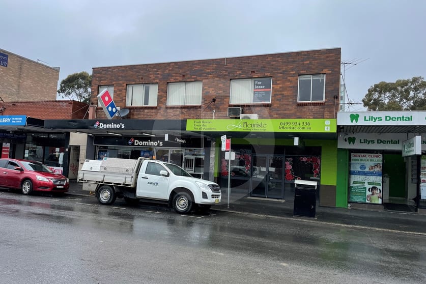 248 MERRYLANDS ROAD Merrylands NSW 2160 - Image 1