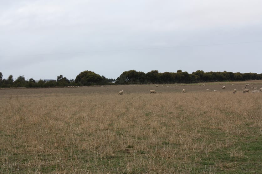 Click to view all images 415 South Barunah Road Wingeel VIC 3321 - Image 1