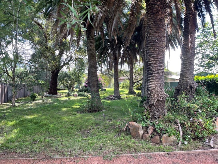 3 Mileham Road Windsor NSW 2756 - Image 3