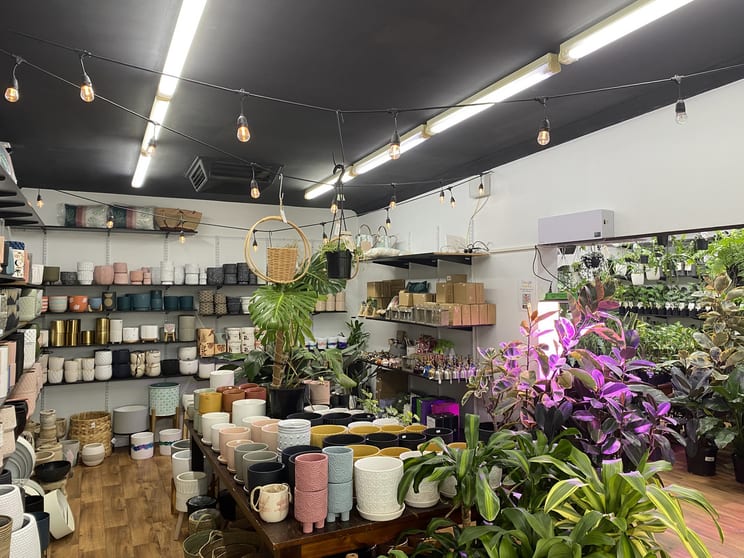 Click to view all images Shop 4, 865-869 North East Road Modbury SA 5092 - Image 2