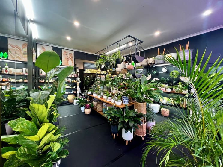Click to view all images 131 Were Street Brighton VIC 3186 - Image 2