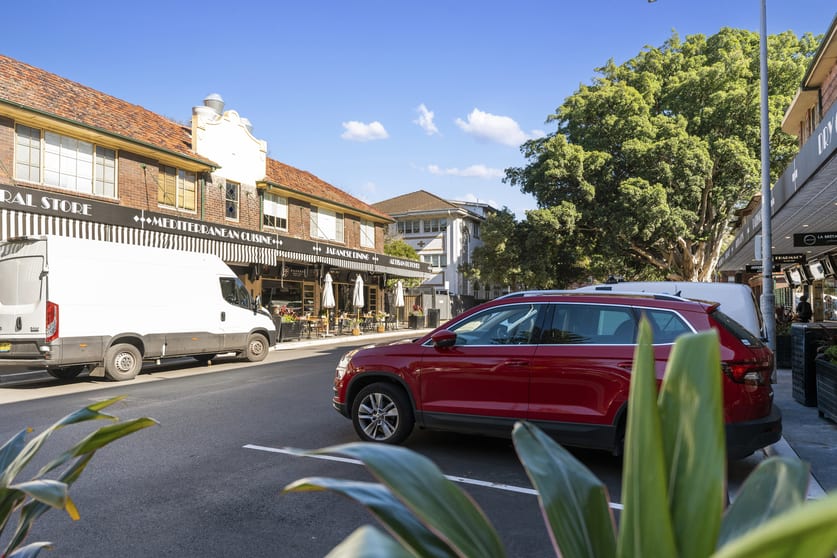 22 Plumer Rd Rose Bay NSW 2029 - Image 1