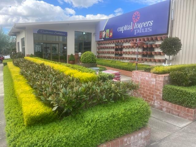 Click to view all images Unit 3/44 Railway Street Oaks Estate ACT 2620 - Image 1