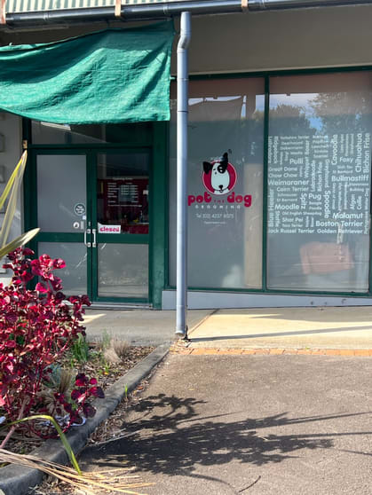 41-43 Meehan Drive Kiama Downs NSW 2533 - Image 1