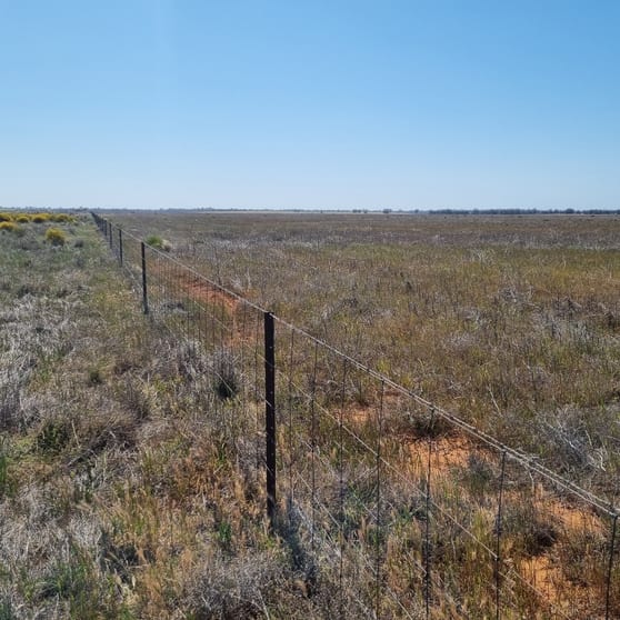 275 James Road Bael Bael VIC 3579 - Image 3