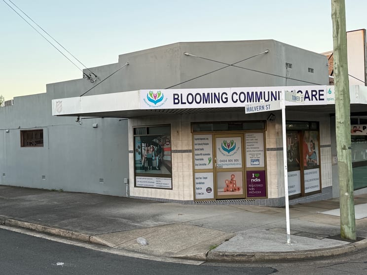 Click to view all images 173 Tower St Panania NSW 2213 - Image 2