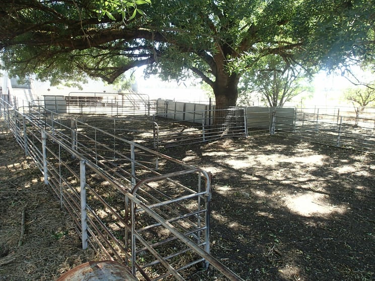 Click to view all images 237 Jacks Rd Rutherglen VIC 3685 - Image 2