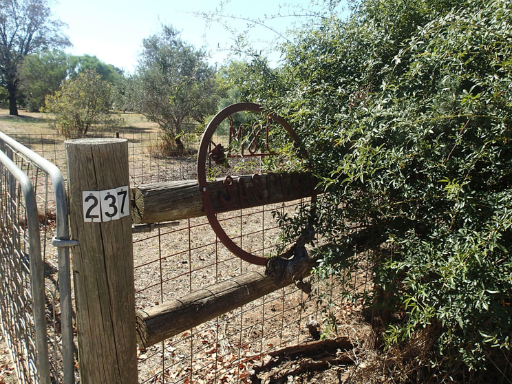 Click to view all images 237 Jacks Rd Rutherglen VIC 3685 - Image 3