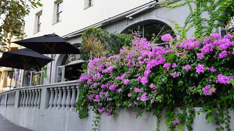 Click to view all images 169 Darlinghurst Road Darlinghurst NSW 2010 - Image 3