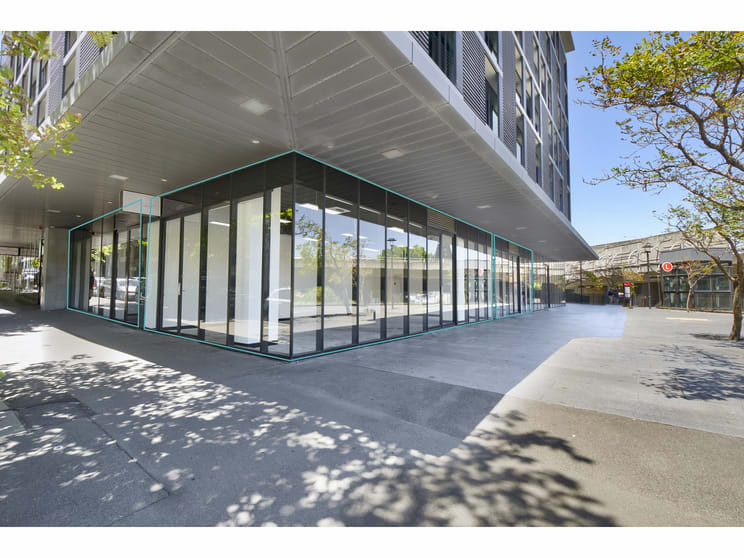 Click to view all images G.02/55 Miller Street Pyrmont NSW 2009 - Image 1