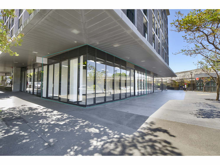 G.02C/55 Miller Street Pyrmont NSW 2009 - Image 1