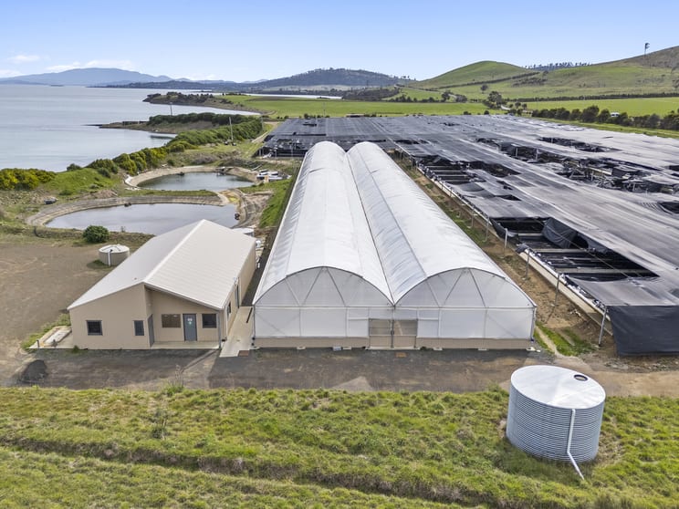 Click to view all images 403 Fulham Road & Marine Lease No. 235 Dunalley TAS 7177 - Image 3