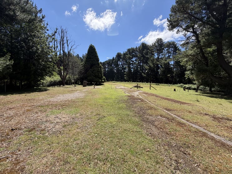 19 Kirkconnell School Rd Kirkconnell NSW 2795 - Image 1