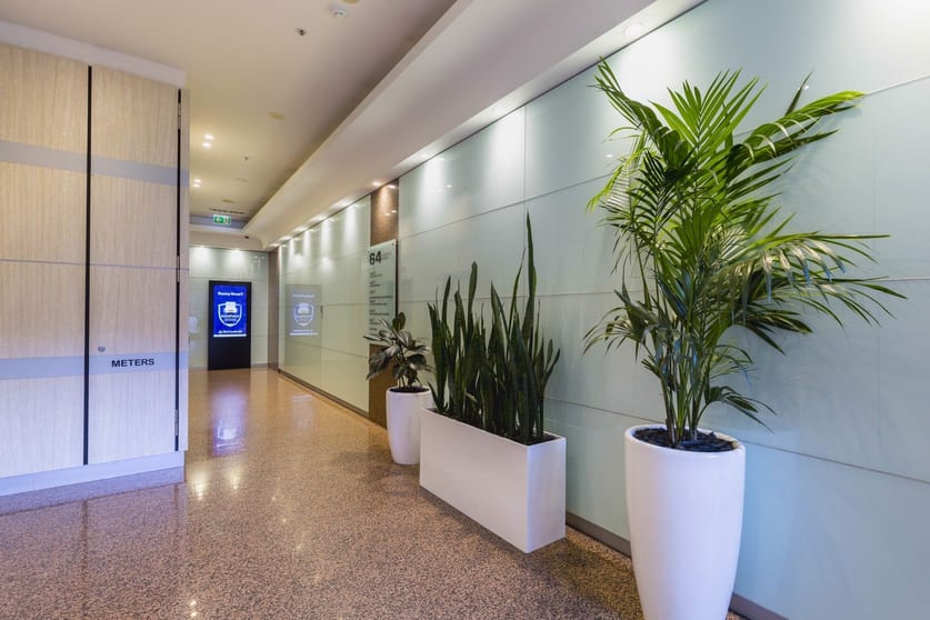 Click to view all images 64 Clarence Street Sydney NSW 2000 - Image 3