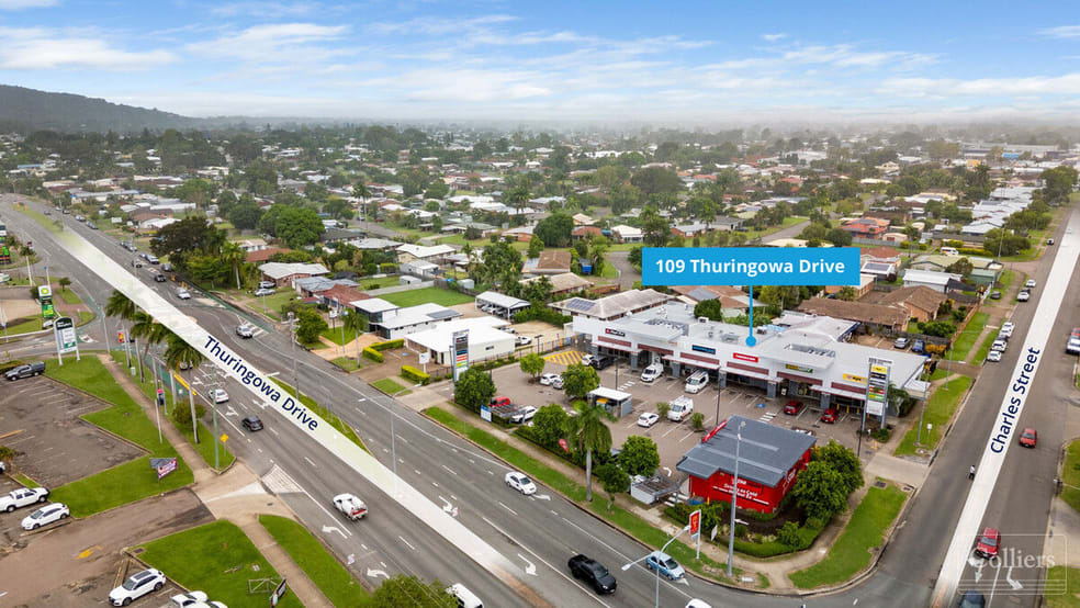 Click to view all images 109 Thuringowa Drive Kirwan QLD 4817 - Image 3