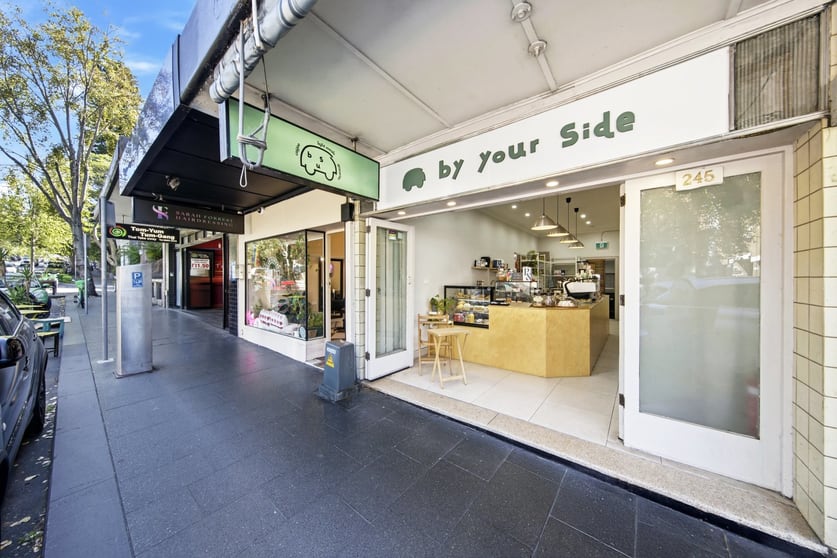 245 Glebe Point Road Glebe NSW 2037 - Image 3