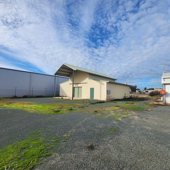Click to view all images 3 Calleen Street West Wyalong NSW 2671 - Image 2