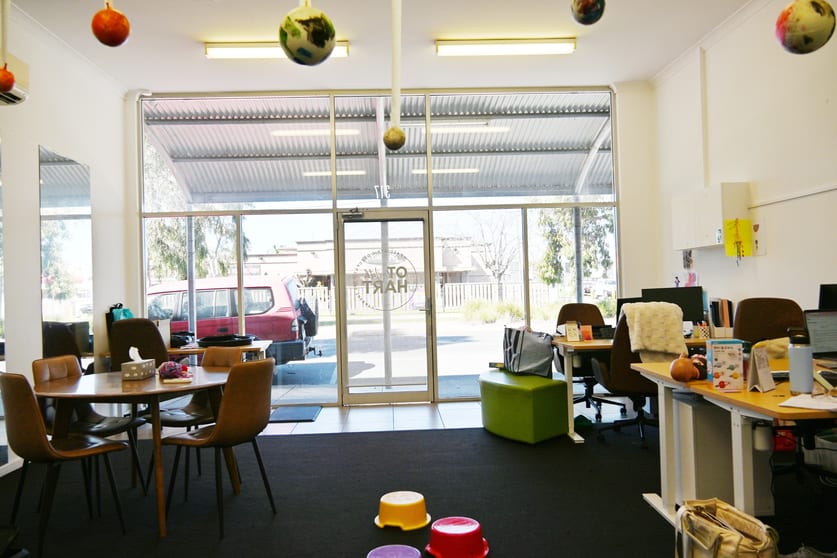 317 Wagga Road Lavington NSW 2641 - Image 2