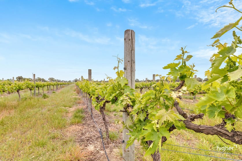 Click to view all images 205 Main Road Willunga SA 5172 - Image 3