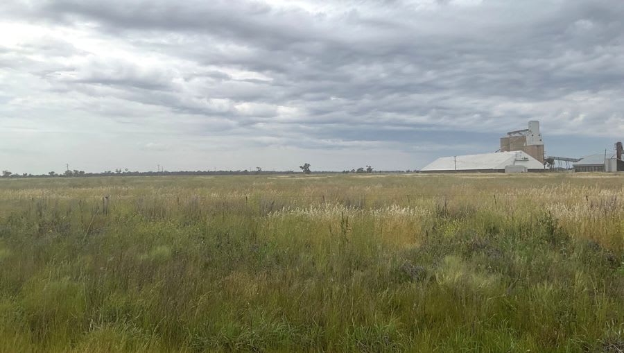 294 Berida Road Curban NSW 2827 - Image 2