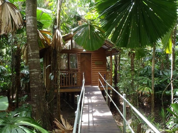 Click to view all images 83 Cape Tribulation Road Cape Tribulation QLD 4873 - Image 2
