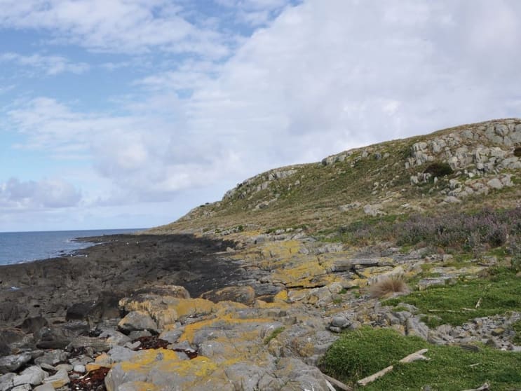 Click to view all images . Ninth Island Bridport TAS 7262 - Image 2
