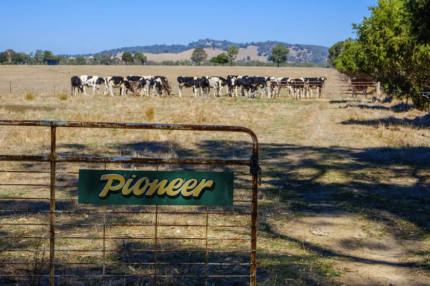Click to view all images 151-159 Pioneer Drive Jindera NSW 2642 - Image 2