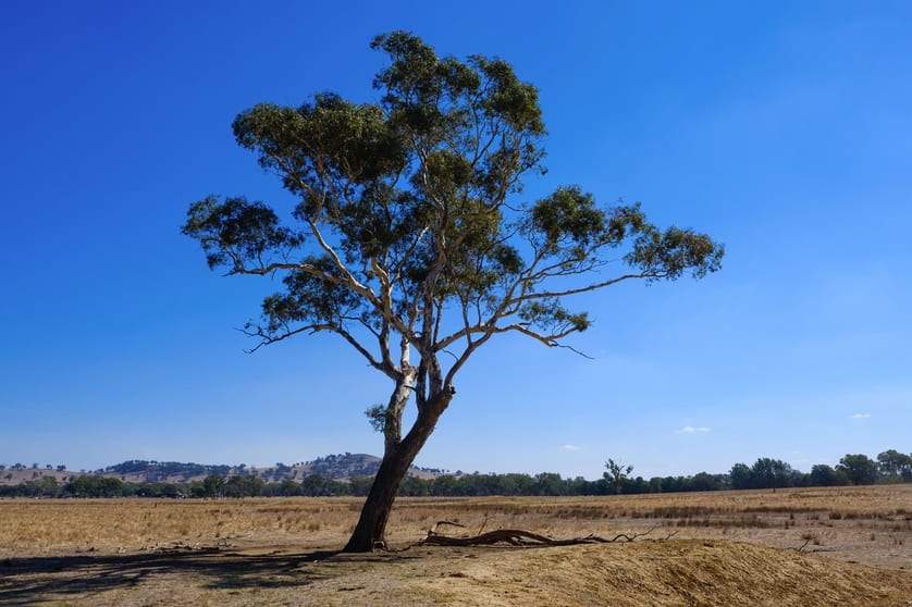 Click to view all images 151-159 Pioneer Drive Jindera NSW 2642 - Image 3