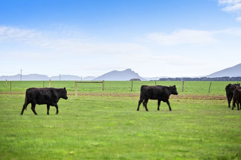 Click to view all images Penshurst VIC 3289 - Image 3