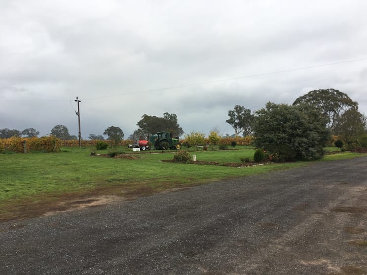 Click to view all images Thompson Vineyard Old Comaum Road Coonawarra SA 5263 - Image 2