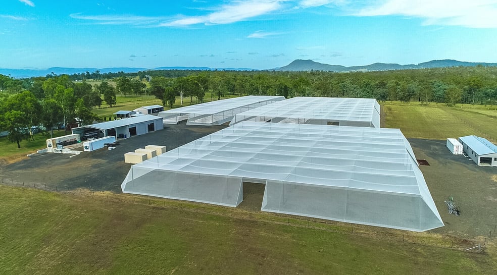 Click to view all images Southern Cross Hydroponics Caswells Lane Mutdapilly QLD 4307 - Image 2
