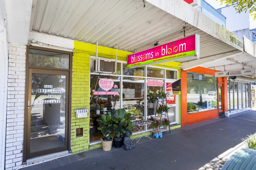 Click to view all images Pittwater Road North Narrabeen NSW 2101 - Image 3