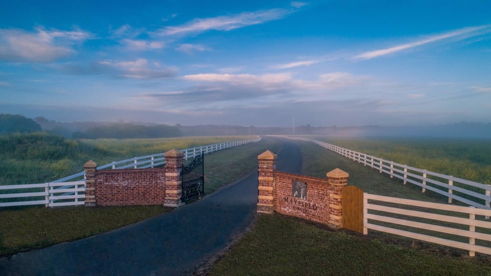 Click to view all images Mayfield Estate Mayfield Road Braidwood NSW 2622 - Image 2