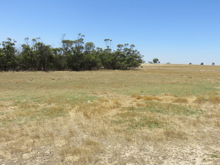 Click to view all images 699 Carger Road Eganu WA 6515 - Image 3