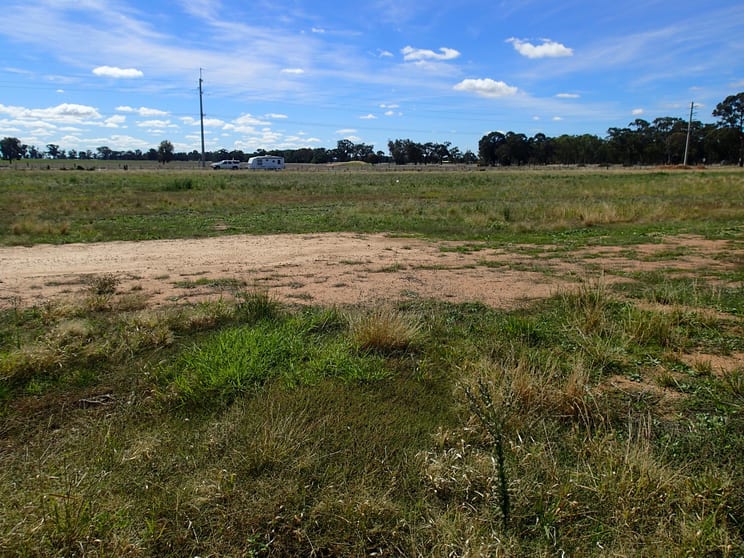 Lot/46 McCarthy Street Mulwala NSW 2647 - Image 1