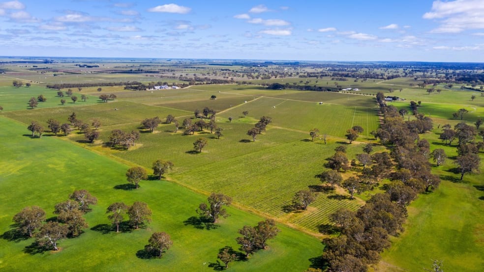 Click to view all images Lot 10 McLean Road Coonawarra SA 5263 - Image 1