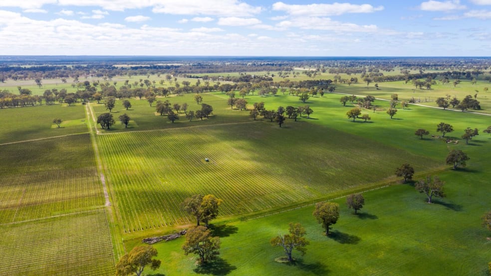 Click to view all images Lot 10 McLean Road Coonawarra SA 5263 - Image 2