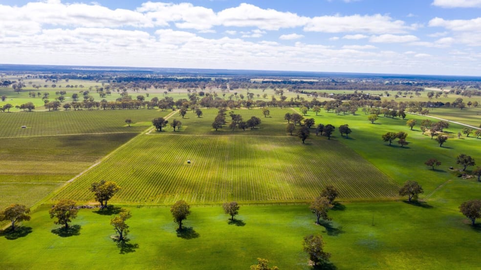 Click to view all images Lot 10 McLean Road Coonawarra SA 5263 - Image 3